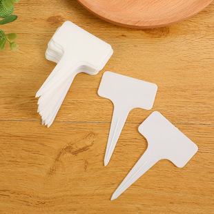 Thickened PP plastic fleshy signage plant sign sign gardening label T-colored flower sign wholesale