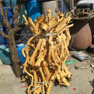 Dried Branch Peel Color Keel Stem White Branch Trunk Decorative Dried Branch Dead Branch Wall Hanging