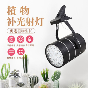 Full spectrum plant growth light clip lamp rich tree stems and leaves fleshy plants flowers aquatic plants light