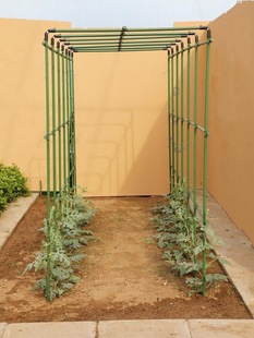 Balcony Vegetable Plant Bean Rack Cucumber Rack Courtyard Climbing Rack Rack Grape Flower Rack Rack Outdoor Climbing
