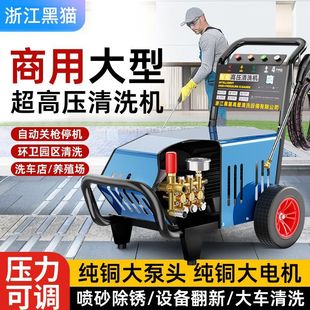 Black Cat Commercial Car Washer Four-stage Pure Copper Motor Car Wash Shop 220V High Pressure Washer Automatic 380V High Power
