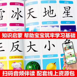 Smart babies are reading literacy 3-8 years old children's Chinese character enlightenment books pre-school literacy necessary for babies