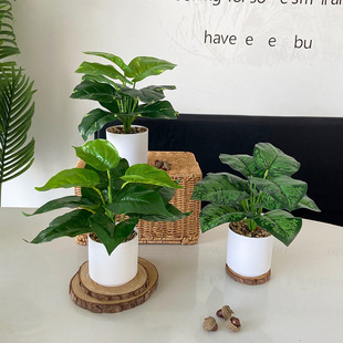 Simulation Bonsai Simulation Green Plant Desk Small Potted Turtle Back Potted Living Room Decoration Fake Flower Green Rose Home Decoration