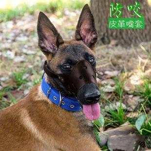 Horse Dog German Shepherd Dog Mouth Cover Anti-bite Calling Medium and Large Dogs Anti-disorderly Eating Golden Hair Mouth Cover Mouth Cage Barking Stop Supplies