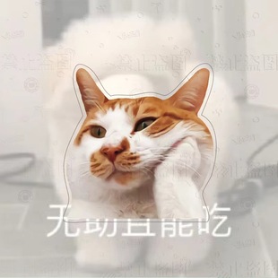 Акрил брошь котенка щенок выражение мультфильм украшения для дома внешняя торговля через границу оптом