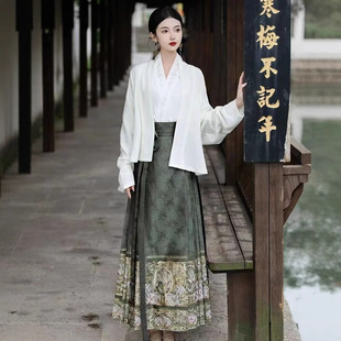 Новый китайский стиль {Tianwu Xianfan} костюм юбки с конским лицом