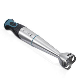 RAF European gauge cross-border portable household kitchen mixer handheld electric stainless steel cooking stick mixer