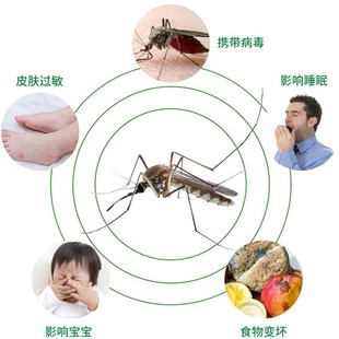 Chaowei Insecticide Aerosol Floral Indoor Mosquito, Fly, Cockroach and Centipede Spray Net Household Genuine Manufacturer Wholesale