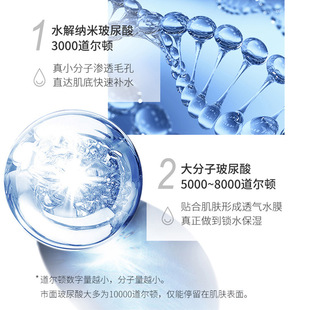 Amino Acid Hydrating Moisturizing Toner Spray Refreshing Soothing Oil Control Lotion Oem Processing and Customization