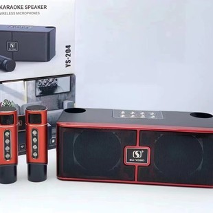 Трансграничный YS-204 Интернет знаменитости беспроводной Bluetooth микрофон динамик семья KTV мобильный телефон караоке микрофон аудио интегрированный
