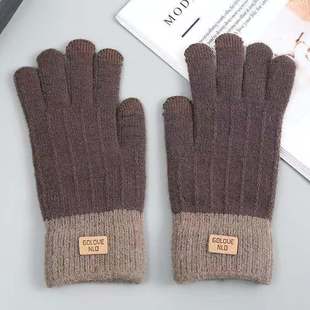 Ready-Made Autumn and Winter Women's Knitted Gloves Plus Velvet and Thickeneding to Keep Warm and Cold-Proof Outdoor Finger Touch Screen Gloves