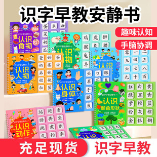 Literacy Early Education Quiet Book, Educational Enlightenment Game Book, Early Childhood Education Paste and Tear Book