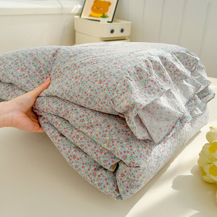 New Class A Korean Style Lace Kapok Summer Quilt Small Floral Summer Cool Quilt Air-conditioning Quilt Quilt Core Bedding