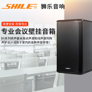 Audio Lion/SHILE BX-108 Stereo USB, Cable