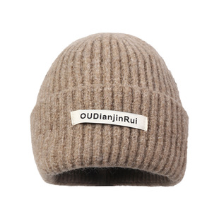 Korean Style Autumn and Winter All-match Solid Color Thickened Knitted Wool Hat Women's Big Head Ware Face Small Cold-proof Ear Protection Cold Hat