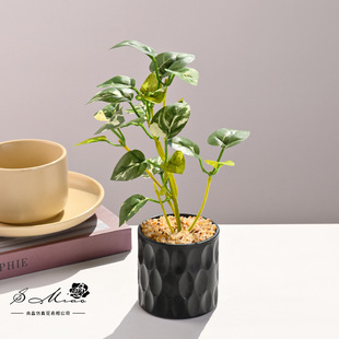 Simulation Green Plant Small Potted Plant Simulation Flower Creative Flower Home Studio Decoration Ornaments Artificial Green Plant Simulation Bonsai