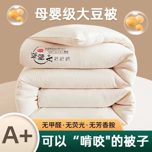Raw Cotton Quilt Core Class A Maternal and Infant Grade Soybean Fiber Quilt Core Double Thickened Winter Quilt Knitted Baby Quilt Four Seasons