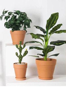 Factory direct inventory clearance red clay flower pot fleshy pot green plant breathable oversized simple coarse clay clay pot