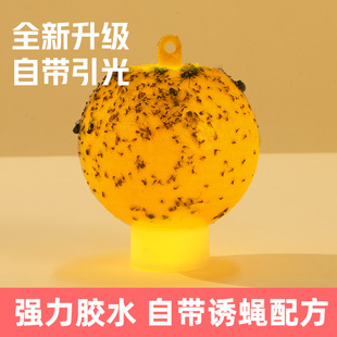 Sticky ball lamp removal small flying bug buster fruit fly fly mosquito room fruit shop kitchen room