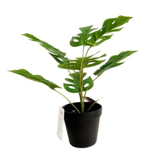 Simulation Green Plant Jia Yu Tortoise Bamboo Leaf Indoor Desktop Decoration Outdoor Garden Bonsai Ornaments Fake Plants