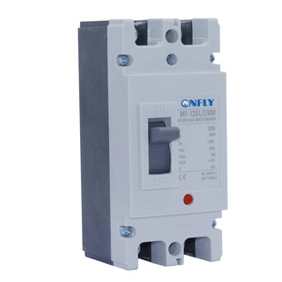 Dc 500V 600V Dc Molded Case Circuit Breaker 2Pole 63A 80A 100A 125A for Photovoltaic