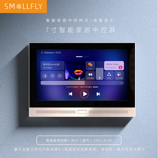 Mi Rui семейный музыкальный хост 7-дюймовый полный дом вызов Ethernet Bluetooth WIFI граффити Интеллектуальный центральный экран управления