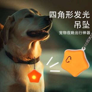 Cross-border Amazon Pet Fun Rechargeable Pendant Dog Cat Night Outdoor Flash Anti-lost Dog Walking Light