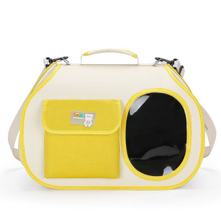 Cross-border hot cat bag fashion breathable square cat backpack generation foldable portable pet bag wholesale
