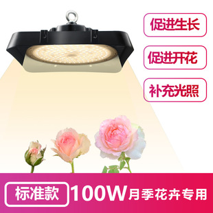 Flower Plant Fill Light Greenhouse Indoor Balcony Planting Vegetable Rose Orchid Imitation Sunlight led Growth Light