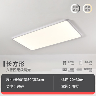 Full Spectrum Seamless Ceiling Light Living Room Light Hall Main Light Modern Simple Puri Chip Home Decoration Zhongshan Lamps