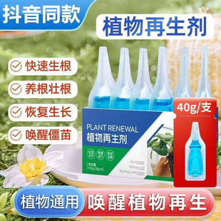 Plant Regeneration Agent Resurrection Liquid Flower Green Plant Potted Plant Universal Light Rod Yellow Fortune Tree Fleshy Growth Nutrient Solution