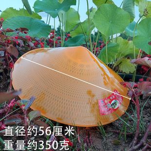 Plastic Hat Cloak Rainproof Windproof Sunproof Fishing Hat Labor Farmer Weidong