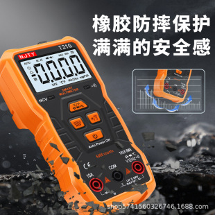 Nanjing Tianyu T21G Household Digital Multimeter Automatic Range Anti-burn Portable Small Digital Display Electrician