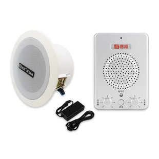 Deshun Amplified Call Megaphone Restaurant Kitchen Factory Hall Broadcast Speaker Microphone Ceiling Amplifier Message Transmission