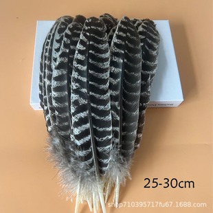 Перо индейки перо гнездо стрела перо индейки перо DIY стрела аксессуары 20-35cm