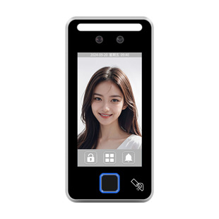 Office Dynamic Face Access Control Machine, Fingerprint Password Swipe Card, Networked Attendance Punch Card Metal Access Control Machine
