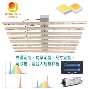 2.6-3.2umol/J detachable easy to replace 4 * 4ft octopus LED Grow Light 1000W