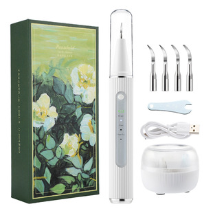 Cross-border Visual Ultrasonic Dental Cleaner Adult Oral Three-gear Waterproof Tartar Calculi Removal Tooth Whiteness Instrument