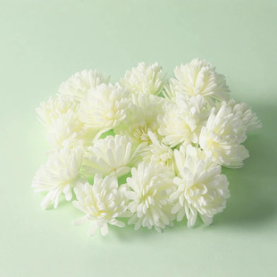 Source Factory Simulation Immortal Chrysanthemum PE Foam Chrysanthemum Aromatherapy Simulation Melaleus Chrysanthemum Head Aromatherapy Accessories