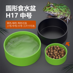 H17 Medium Feeding Box Rainforest Pet Box Round Chameleon Tortoise Hamster Reptile Pet Pet Pet Pot