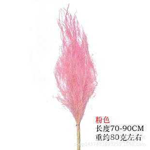[Eternal Dragon grass] Eternal Flower Dragon grass wedding dried flower Flower indoor soft decoration shopping mall setting material