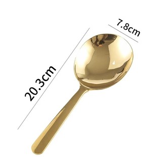 304 Stainless Steel Dining Spoon Golden Large Household Large Rice Spoon Soup Spoon Colander for Hotel Special Common Spoon