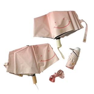 Blush ins Wind Rain dual-use sun protection UV protection female portable photo umbrella