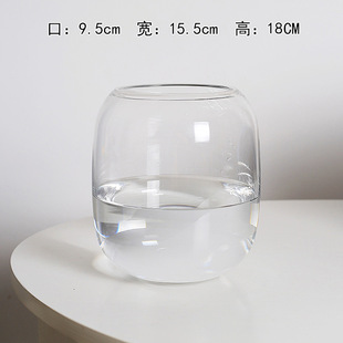 Homestay Model Room Micro-landscape Vase Household Hydroponic Transparent Glassware Fish Tank Fleshy Plant Ornaments