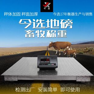 Wireless electronic floor scale 1-5 tons floor scale factory logistics electronic scale 5 tons pig cow small floor scale platform scale