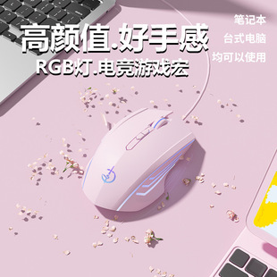 Wired Mouse Mute Game Special Macro Programming for E-sports Male and Female Computer Desktop Notebook USB Universal