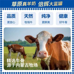 Beihui Factory Direct Sales Pet Snacks Wholesale Beef Leg Bone Molar Teeth Cleaning Molar Stick Dog Suitable for Large Dogs and Puppies