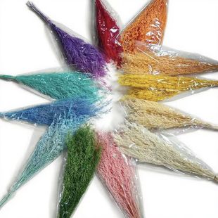 Eternal flower lover grass bleached dried flowers wholesale bouquet home decoration DIY flower wedding decoration shooting cross-border