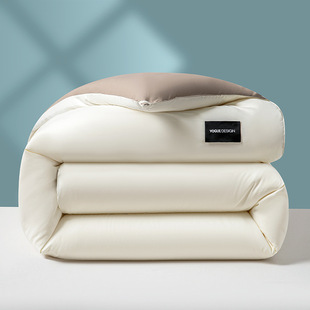 New Double Label Soybean Quilt Solid Color Autumn and Winter Quilt Core Bedding
