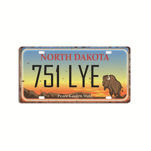 Tinplate license plate hanging painting personality design creative wall hanging metal craft Living Room bar tin painting factory wholesale